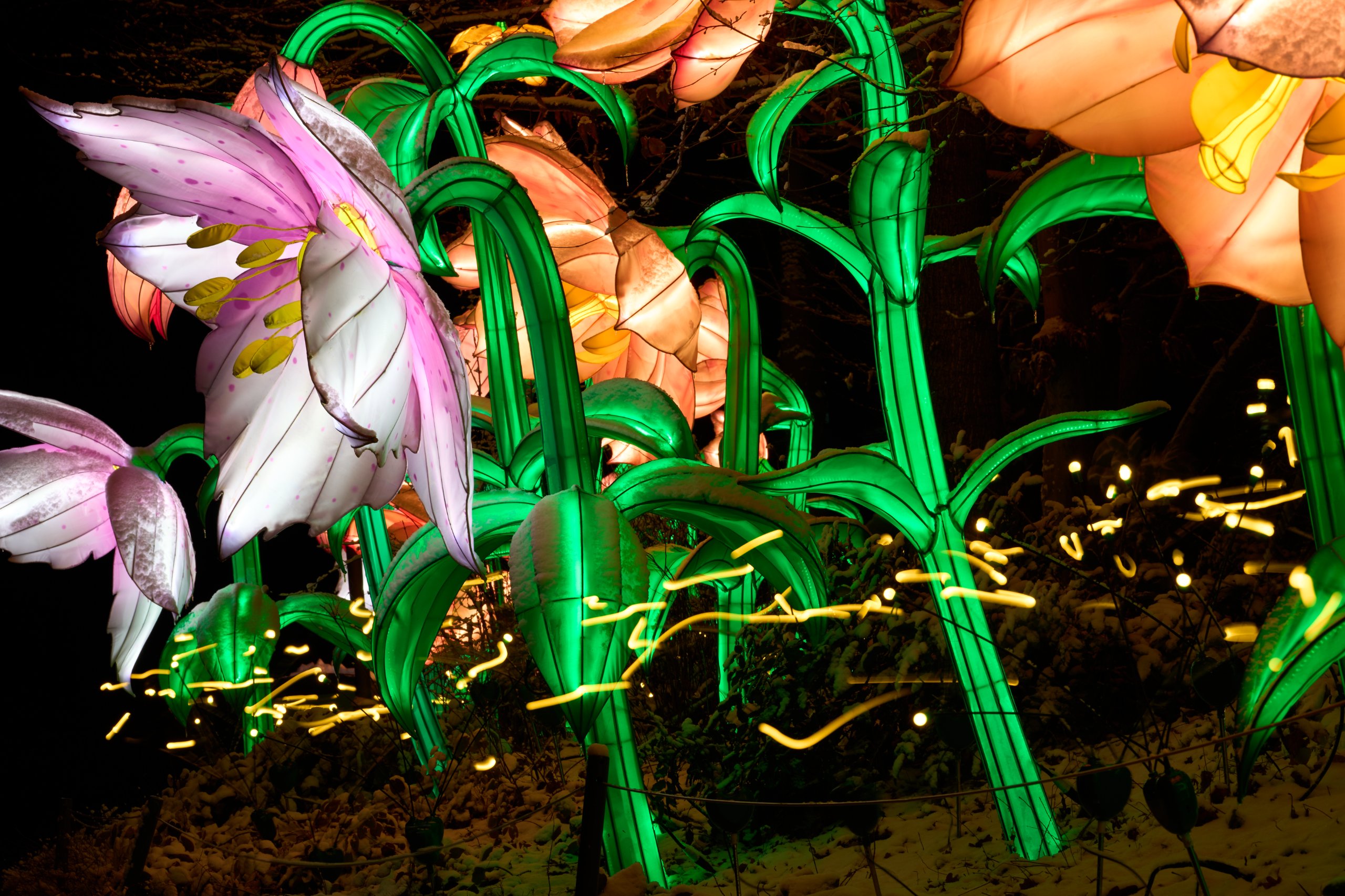 2026 01 05 China Lights 0237